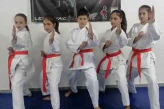 IMG-6337
