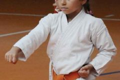 IMG-6340